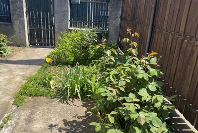 Casa 5 camere, caramida, garaj, pivnita — Cantacuzino, Ploiesti - 21