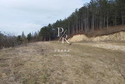 Teren intravilan de 1100 mp, în Mănăștur