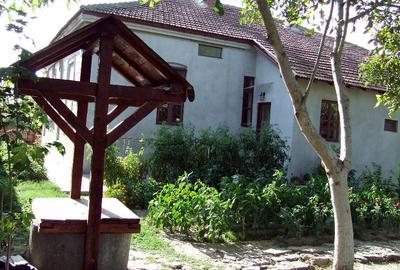 Conac boieresc - 5 camere - Nicolae Balcescu - 105.000 euro (Cod E11) - 11