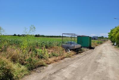 Teren intravilan construibil, 356 mp – Techirghiol - 6