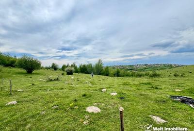 Teren agricol extravilan de 3000 mp, în Feleacu