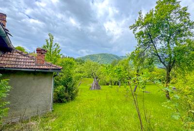 Teren 1500mp, intravilan cu utilitati, in proximitatea complexului Vila Bran - 11