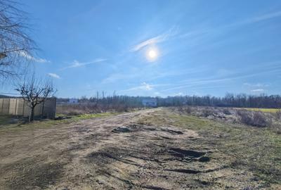 OFERTĂ VÂNZARE TEREN INTRAVILAN – MĂGURELE, STRADA STEJARULUI - 4