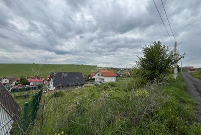 Teren de vanzare Sura Mare/Sibiu