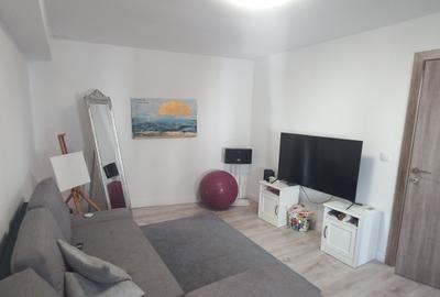 Apartament 2 camere Calea Calarasilor cu gradina - 17