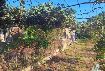 Casa cu teren 3579mp in com. Cascioarele, Jud. Giurgiu - 3