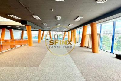 Showroom de vanzare 1600 mp parcare 900 mp - 7