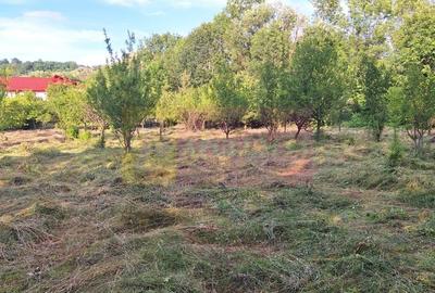 Vila de vanzare cu 6 camere si teren de 5116 mp in Cornu, Prahova - 34