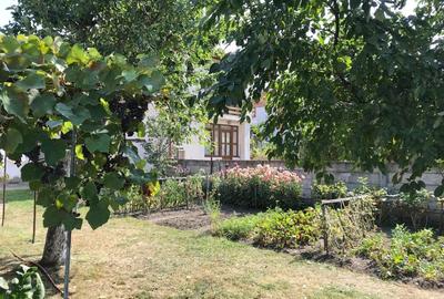 Casa Vanzare Ultracentrala, Multiple Destinatii - 26