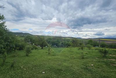 Teren 5,350mp Dobreni / Strada Manastirea Horaita - 11