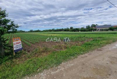 Teren Intravilan (7500 mp),situat in Balesti - Tamasesti - 4