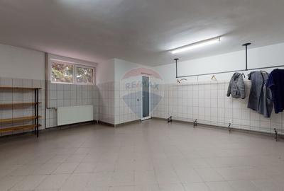 De inchiriat hala productie si birouri ,750 mp - 6