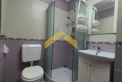 Apartament de inchiriat Aradul Nou - 5
