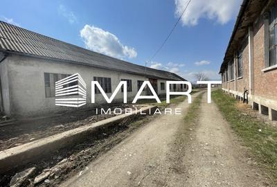 Teren intravilan 16000 mp + hale Calea Surii Mici - 1