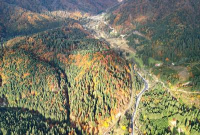 Poiana lui Manole - teren Intravilan - 32