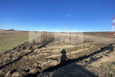 Teren Calea Cernauti | 52 ARI | Intravilan - 1