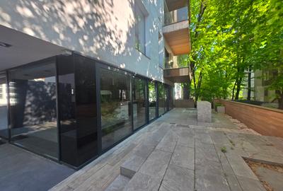 Showroom stradal Floreasca - 7