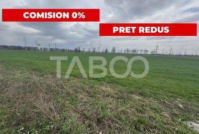 Teren intravilan zona Soseaua Combinatului 27690 mp parcelabil - 1