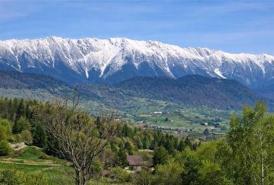 7.000 mp, pozitie spectaculoasa, fara vecini, Fundatica, Brasov - 11