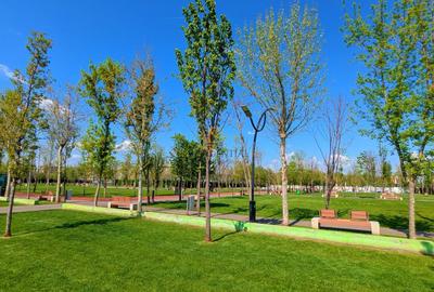 Apartament ideal, 4 camere si terasa impresionanta-Rond Metro Berceni - 14