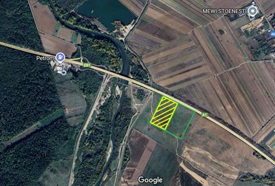 Teren Construcții extravilan de 14103 mp, în Stoenești (Florești-Stoenești)