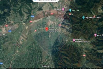 Complex Turistic Panicel, DN73A - 14