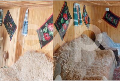 Corbi, Arges - Casă autentică zonă rurală pitorească –liniște, natură și poveste - 3