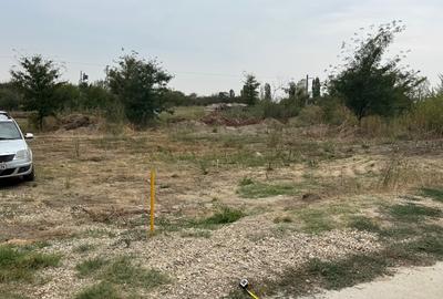 Ofer spre vânzare tere în intravilanul orașului Bragadiru - 4
