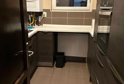 Vasile Lascăr Închiriez ap 2 cam vila P+2 modern renovat aproape de centru - 7