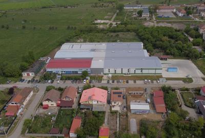Hală producție/ depozitare de inchiriat Buziaș, Timiș - 5