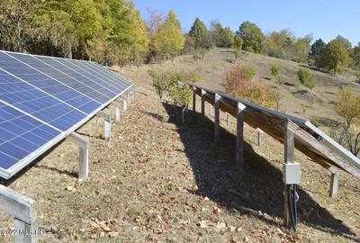 Topoloveni - Conacul Ion Mihalache, Domeniu pe 5 Hectare! - 43