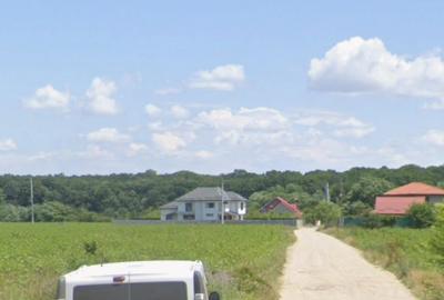 800 mp padurea Snagov Ciofliceni l utilitati la strada - 1