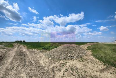 Poșta -Teren 12.450mp pretabil hală/rezidențial la 150ml de utilități - 11