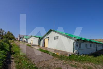Hală industrială depozitare productie 826mp Sebeș - 2