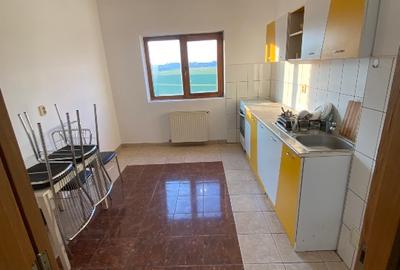Vila cu 3 apartamente  la parter,etaj  si mansarda - 11