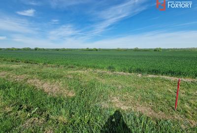 Teren extravilan de 9500 mp de vanzare in Remetea Mare - 2