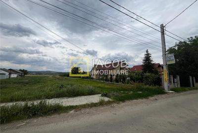 Teren intravilan Lilieci, Hemeius, Bacau - 4