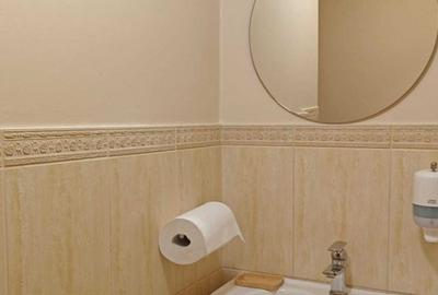 Spatiu comercial, Zona Ultracentral - 3