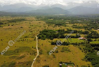 Teren intravilan de vanzare in Avrig zona Valea Avrigului - 2