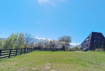 Teren intravilan cu priveliste frumoasa-Predelut - 3