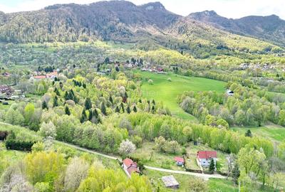 Teren intravilan Bran- Predelut - 3