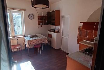 Vila pe strada Vasile Lupu - Ultracentral - 12
