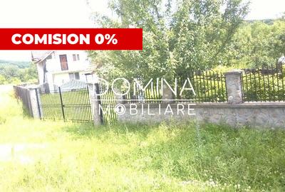 Vanzare casa P+1, cu teren 3.200 mp, in comuna Logresti, sat Maru - 1