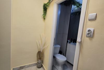 Giurgiului-Apartament de 3 camere-decomandat - 23
