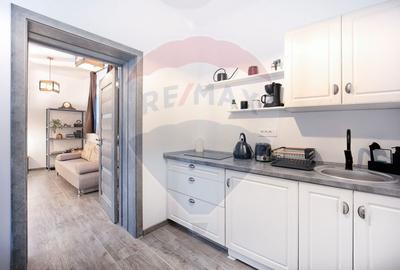 Apartament 1 camera | Poarta Schei nr. 1 | Centru Istoric Brasov - 2
