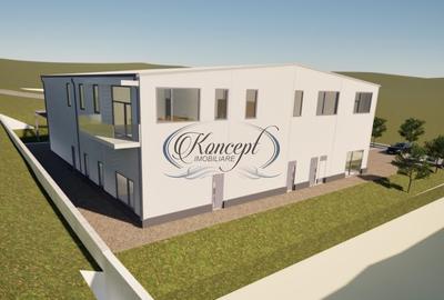 Teren industrial cu autorizatie hala, Valea Chintaului - 8