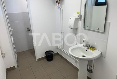 Spatiu comercial de tip Hala 490mpu de inchiriat in zona Siretului - 5