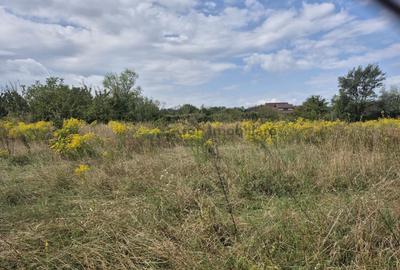 Teren Construcții intravilan de 650 mp, în Sânpetru