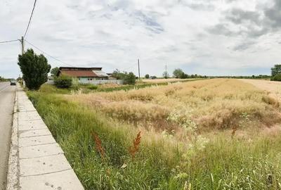 Oportunitate Unică – Teren 5000 mp cu Deschidere DN, Călugăreni - 1