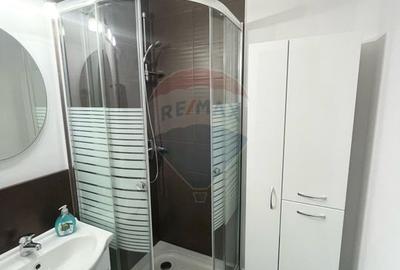 Apartament cu 1 camera de inchiriat in Micalaca - 8